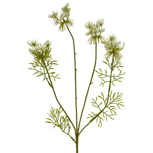 Queen Anne's Lace Spray 32" - White | GTE