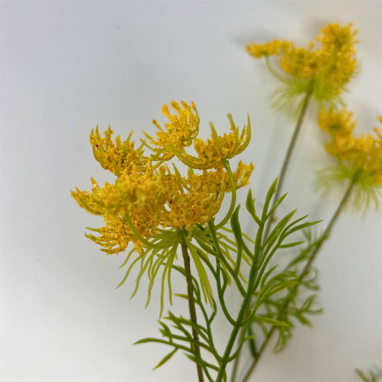 Queen Anne's Lace Spray 32" - Yellow | GTE