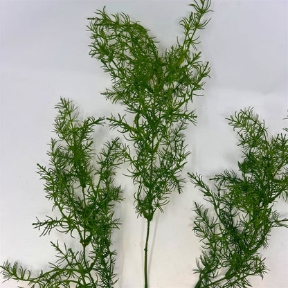 Springeri Spray - Green 38" | GTE