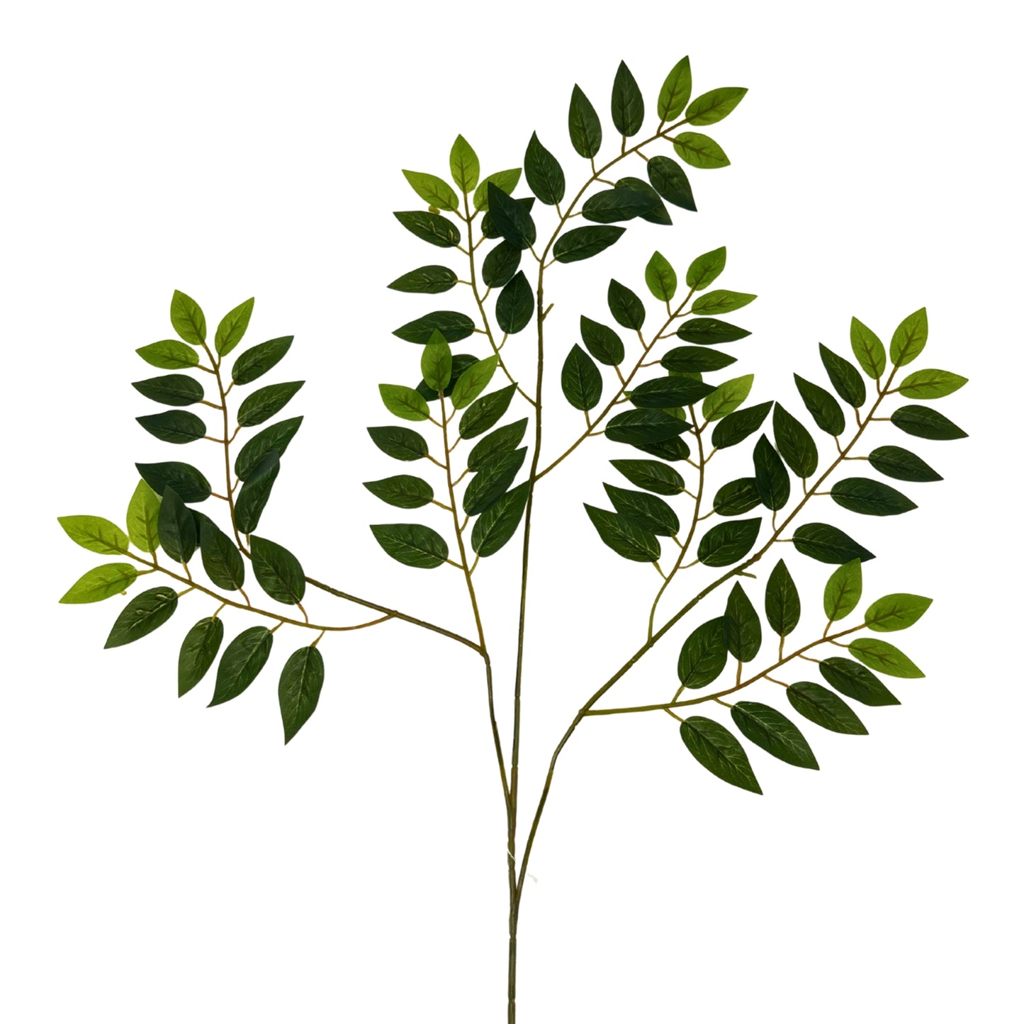 Smilax Leaves Spray 27" - Green | GTE