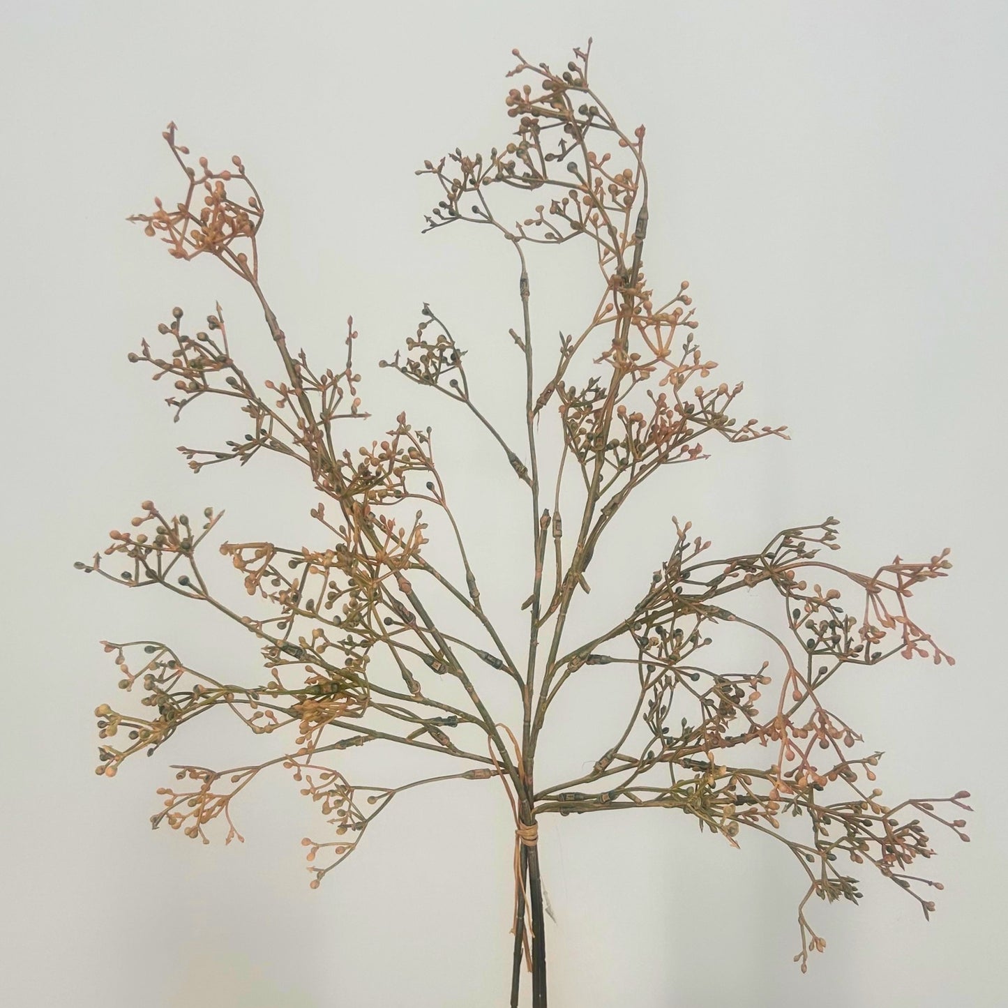 A dried artificial baby's breath floral branch arrangement with delicate brown and tan stems and small buds, photographed against a plain light background.