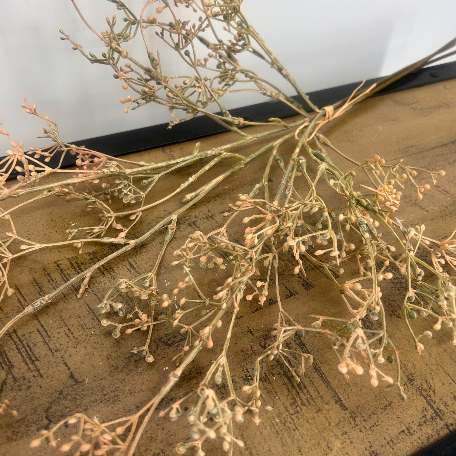 A bundle of dried baby's breath flowers on a rustic wooden surface with a white background.