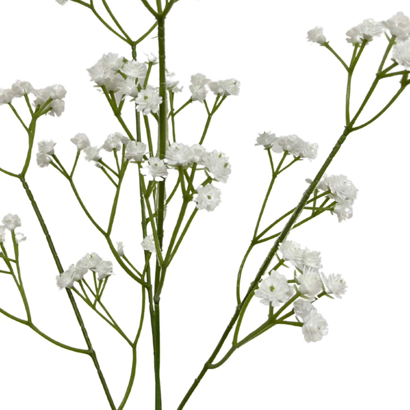 Baby's Breath Stem - 25” White |YSE