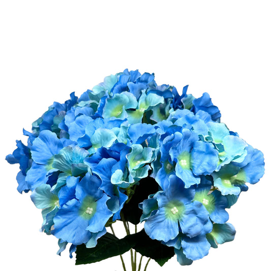 Cypress Garden Hydrangea Bush x 5 -19” - Blue |YSE