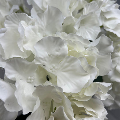 Cypress Garden Hydrangea Bush x 5 - 19” - Cream | YSE
