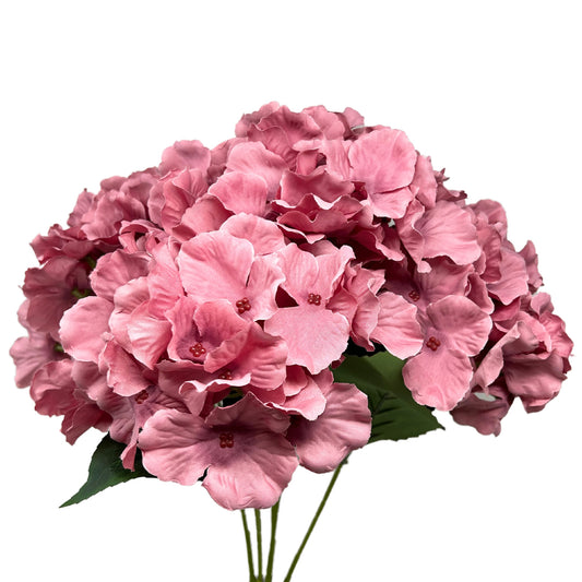 Cypress Garden Hydrangea Bush x 5 - 19” - Mauve |YSE