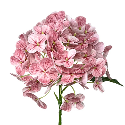 Fresh Touch Hydrangea Stem 18” - DK. Pink | YS
