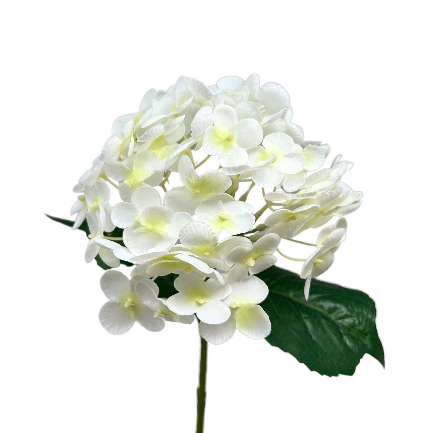 Fresh Touch Hydrangea Spray - Cream - 18” | YS