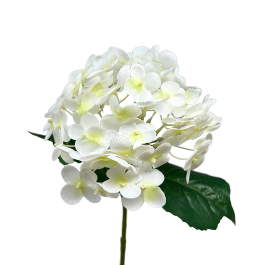 Fresh Touch Hydrangea Spray - Cream - 18” | YS