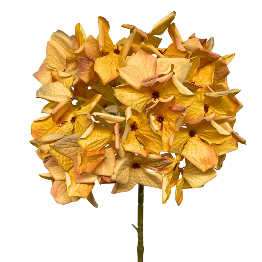 Faux Dried Meadowlands Hydrangea Stem 22" - Orange | YSE