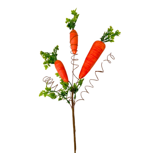 Eastern Sunrise Carrot Spray - Orange 17.5" |YSE