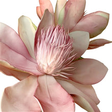 Load image into Gallery viewer, EVA Foam Morning Magnolia Spray x 2 - Mauve/Green 33.5&quot; |YSE