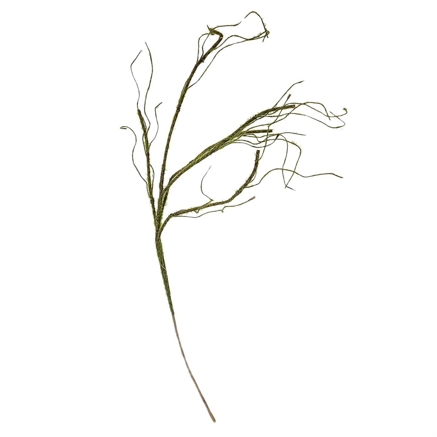 Grass Twig Branch 35.5‘’ | QPE