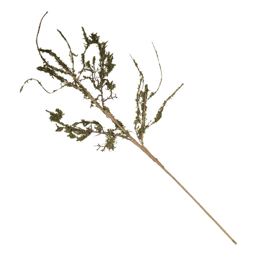 Wild Mossed Vine Branch 38‘’ | QPE