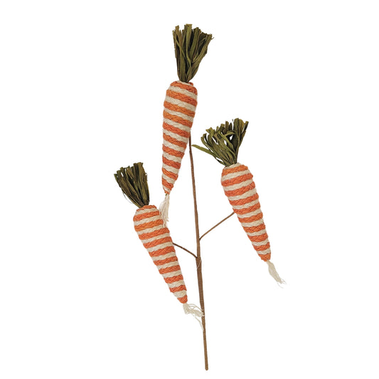 Braided Striped Carrot Spray 18.5” | QPE