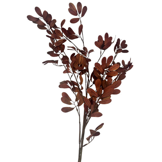 Asian Smilax Leaf Spray - Brown 43” | KS