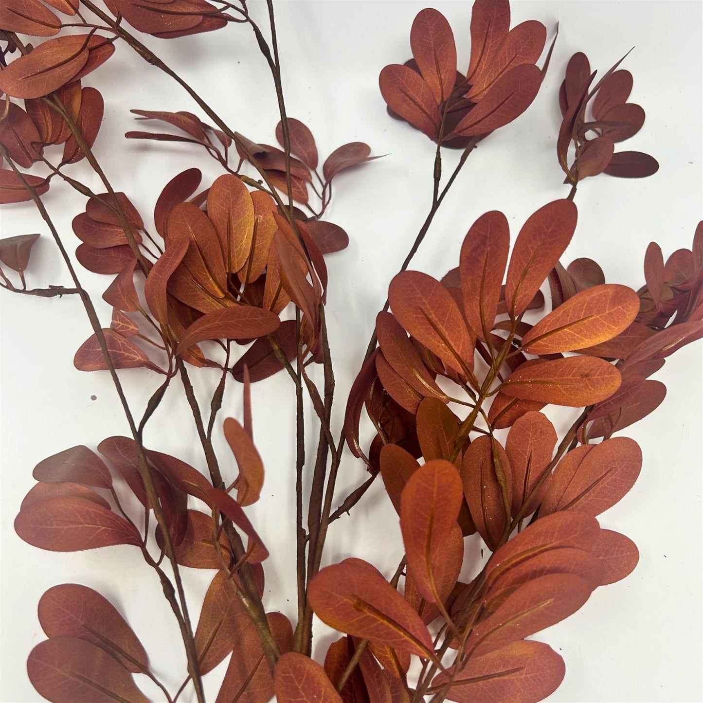 Asian Smilax Leaf Spray - Brown 43” | KS