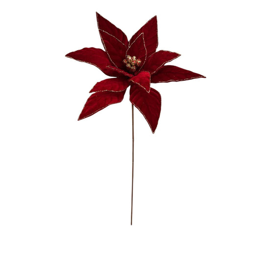 Deep Red Royal Velvet Gold edge Poinsettia Stem 26” | KS