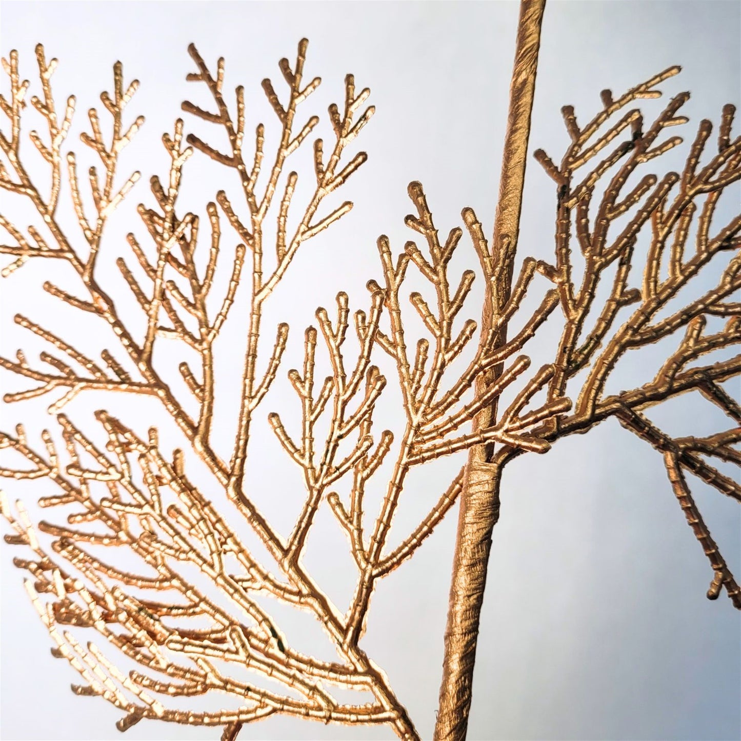 Brushed Metallic Cedar Spray -Gold 24” | KS