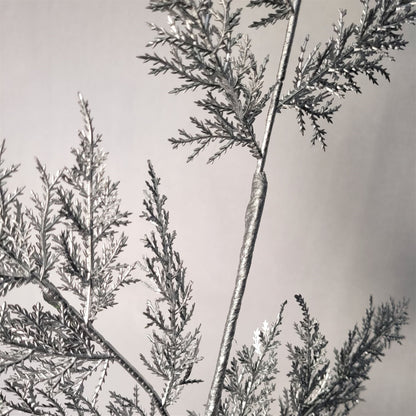 Metallic Cedar Spray - Silver 24” | KS