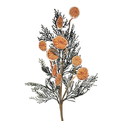 Fern Orange Slice Spray 24” | QP