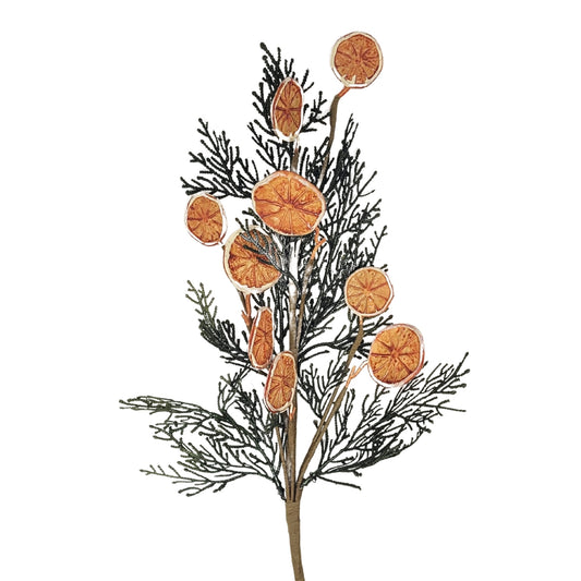 Fern Orange Slice Spray 24” | QPE