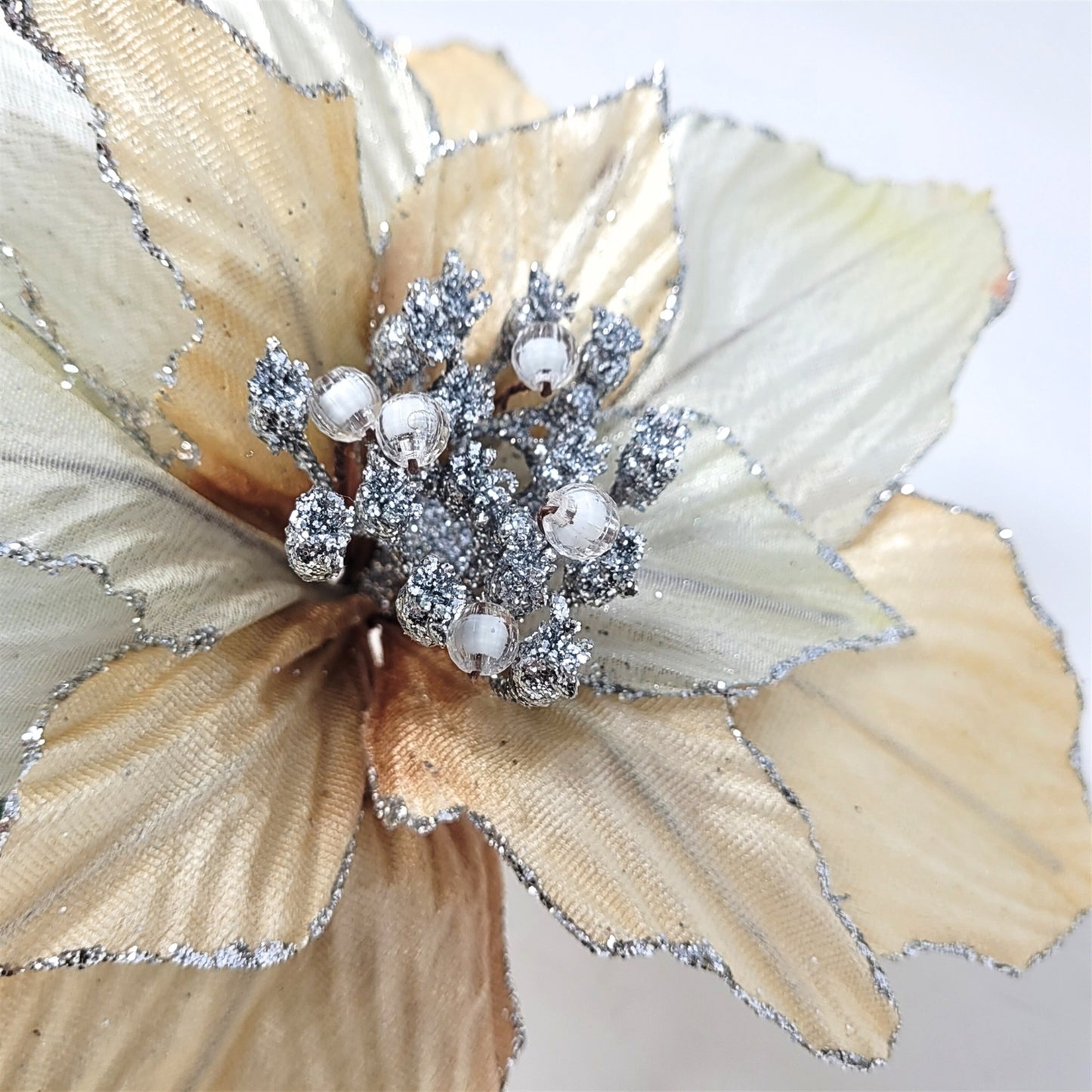 Ombre Shimmer Poinsettia Stem - Ivory/Champagne 19" | YS