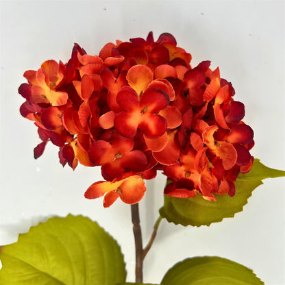 Meadows Hydrangea Spray - Dk Orange 27” | YS