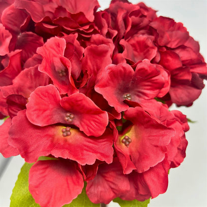 Autumn Meadows Hydrangea Bush x 5 -Red 18” | YS