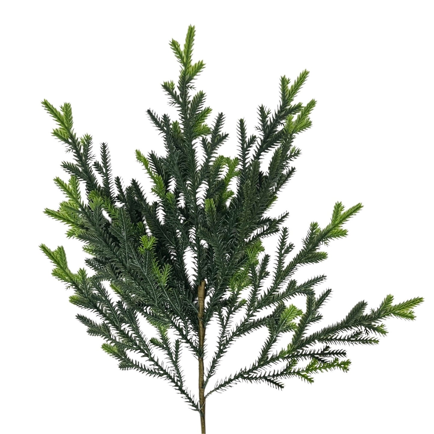 Soft Touch Mini Noble Fir 24" | DB