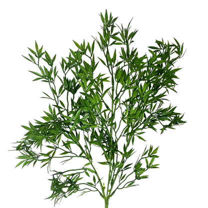 Stellatus Foliage Spray - 32" - Green | GT