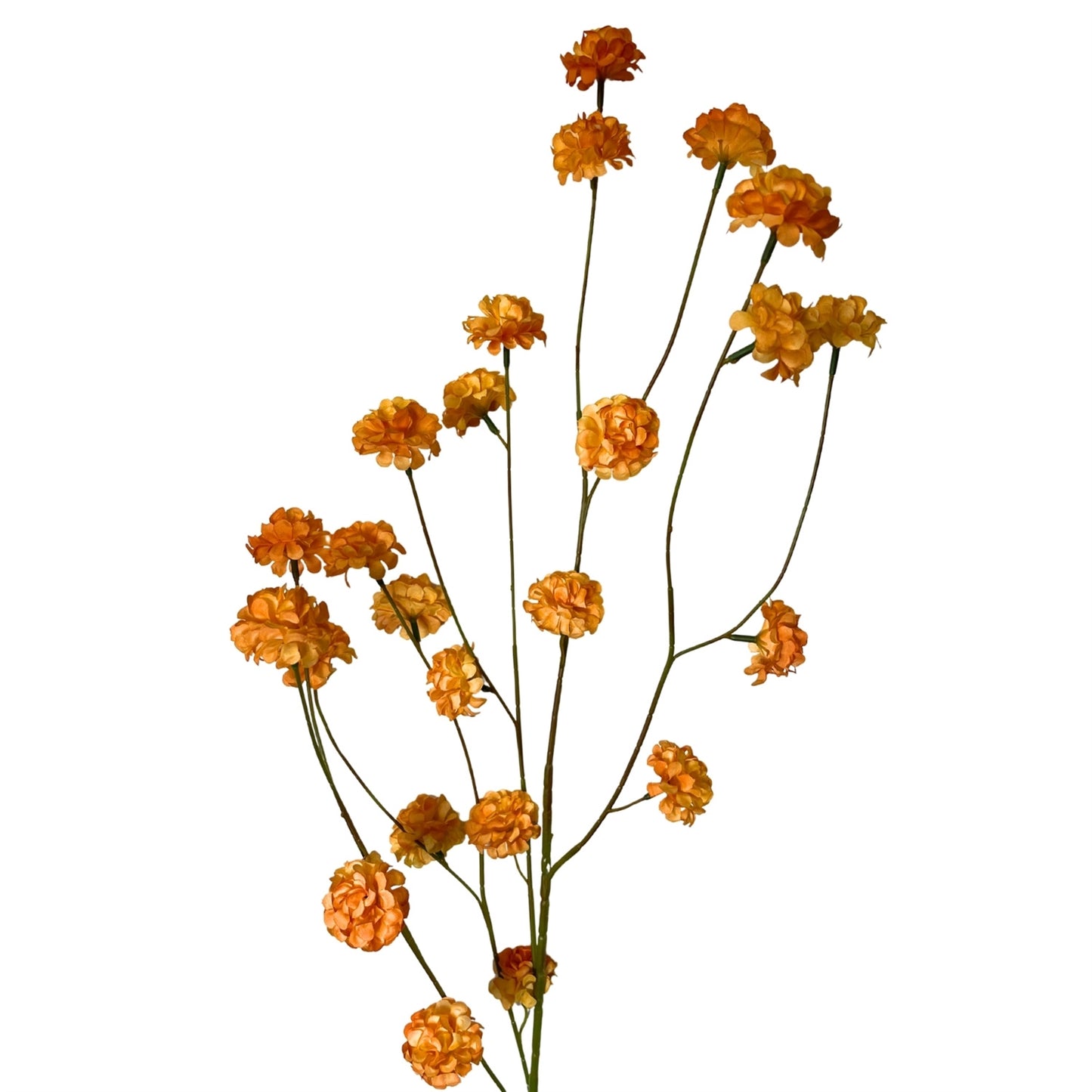 Pom Pom Branch 44" - Orange | GT