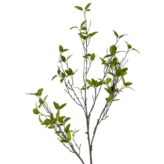 Wild Myrtle Branch 46" - Green