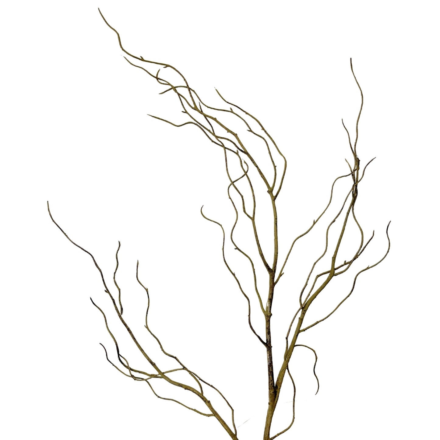 Wispy Branch Stem - 44" Natural | GT