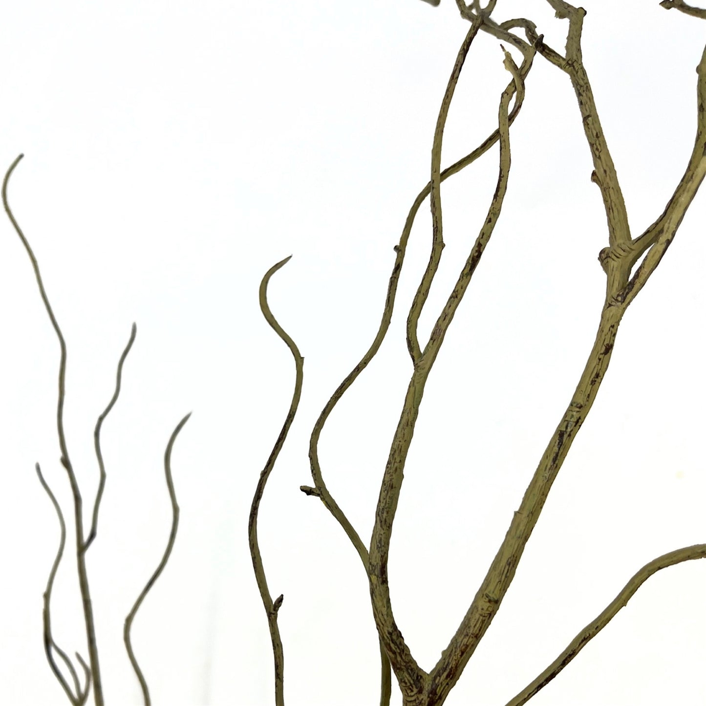Wispy Branch Stem - 44" Natural | GT