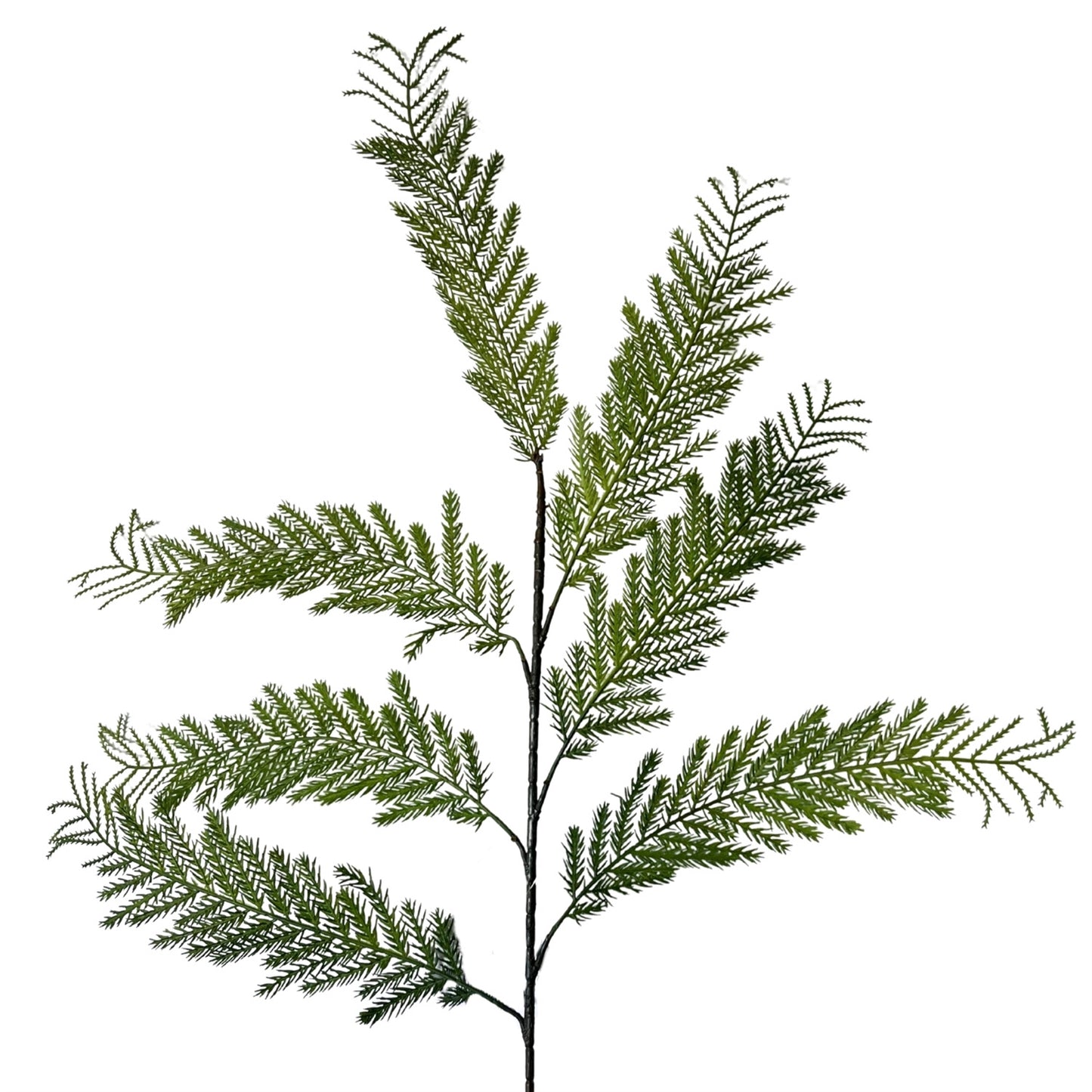 Pine Branch 36" | GT