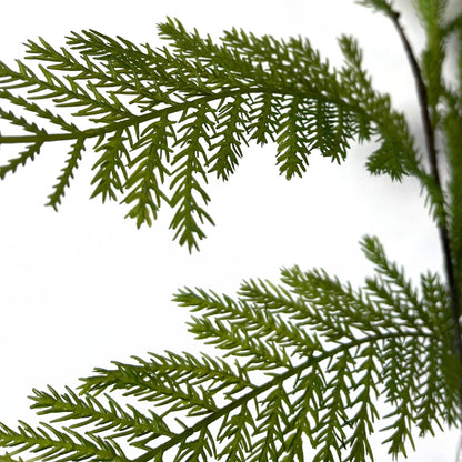 Pine Branch 36" | GT