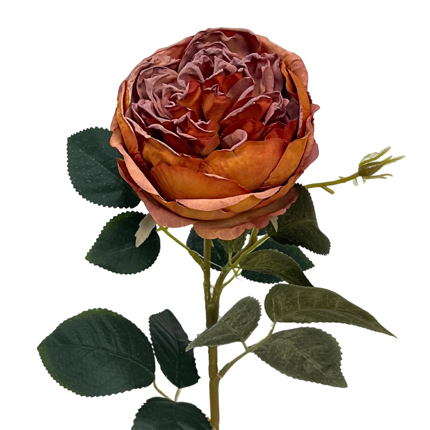 Faux Dried English Rose 24" - Burnt Orange