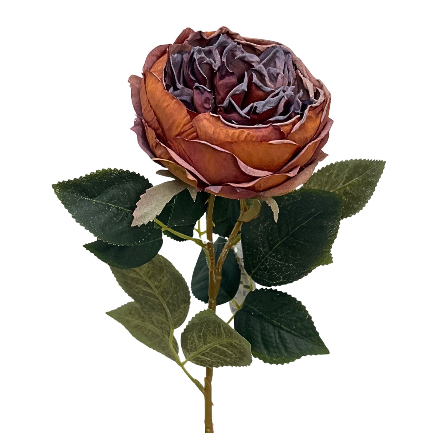 Faux Dried English Rose 24" - Copper/Plum