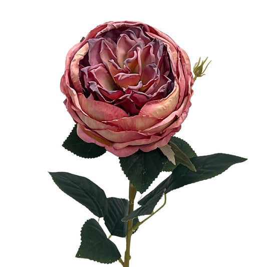 Faux Dried English Rose 24" - Mauve | GT