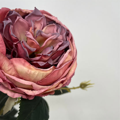 Faux Dried English Rose 24" - Mauve