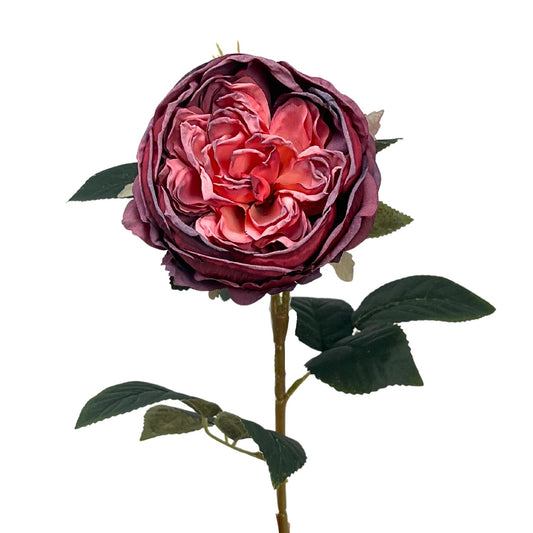 Faux Dried English Rose 24" - Rouge