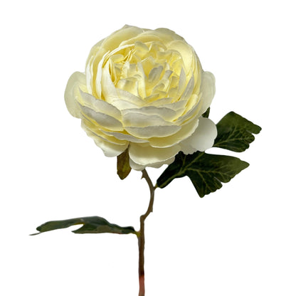 Petite Ranunculus Stem 15" - Cream | GT
