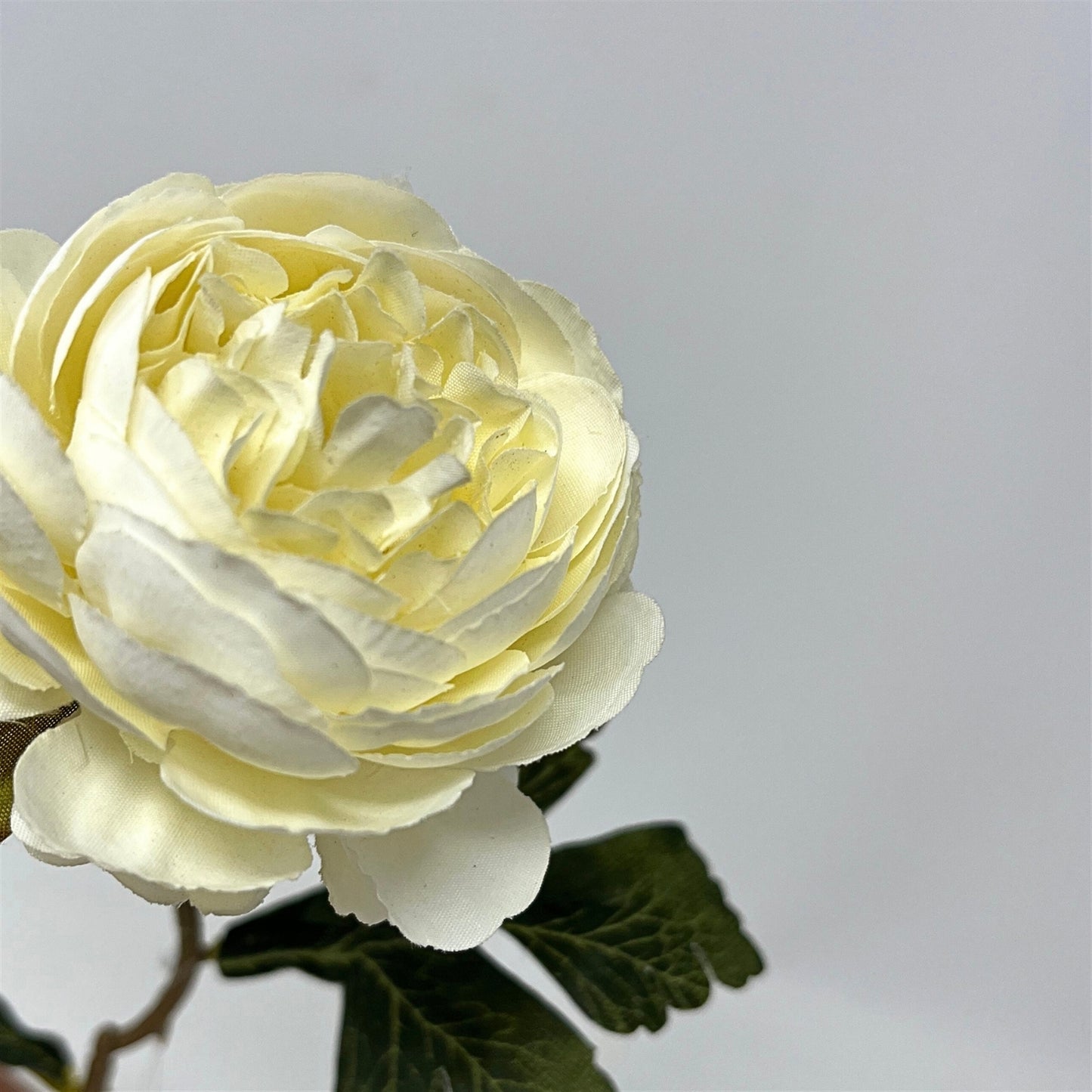 Petite Ranunculus Stem 15" - Cream | GT