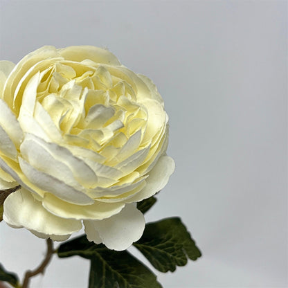 Petite Ranunculus Stem 15" - Cream | GT