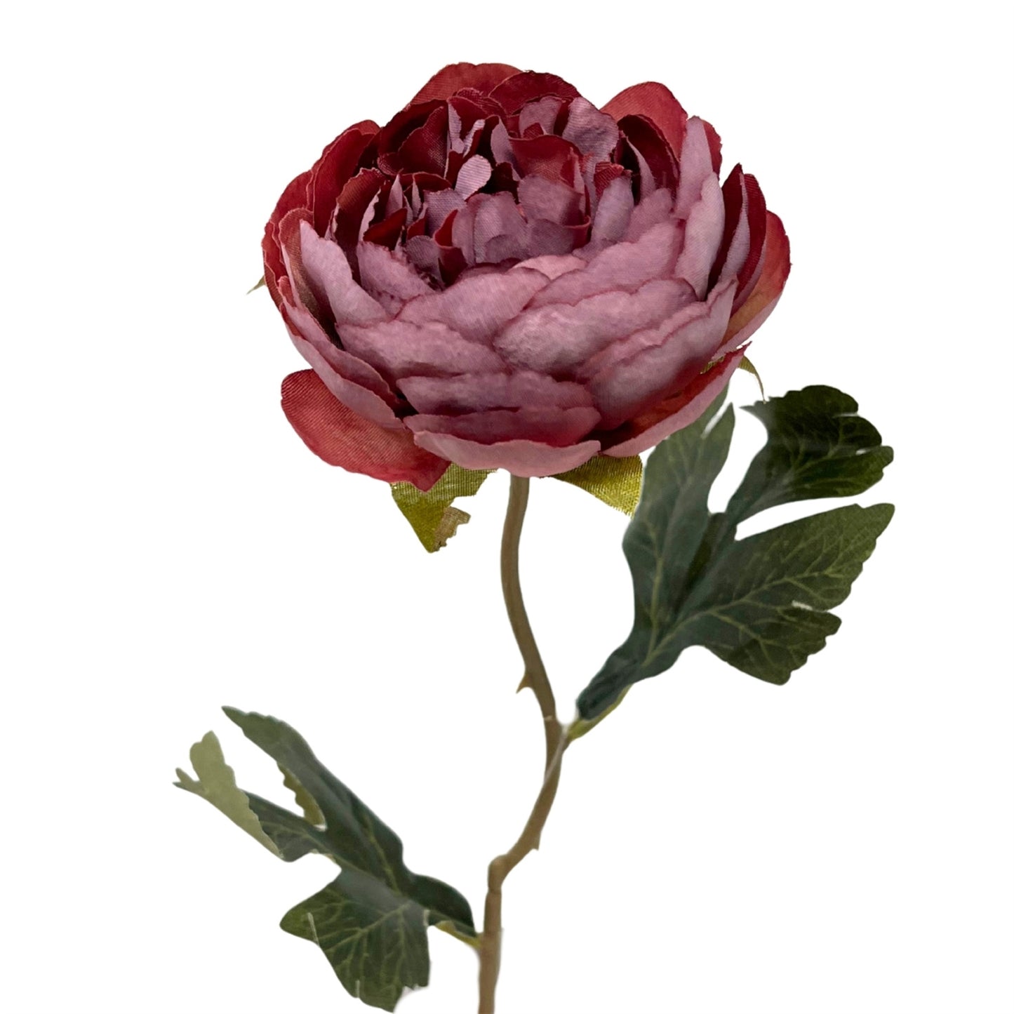 Petite Ranunculus Stem 15" - Mauve | GT