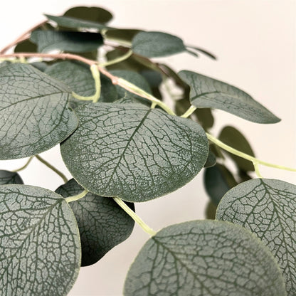 Silver Dollar Eucalyptus Spray 41" - Green
