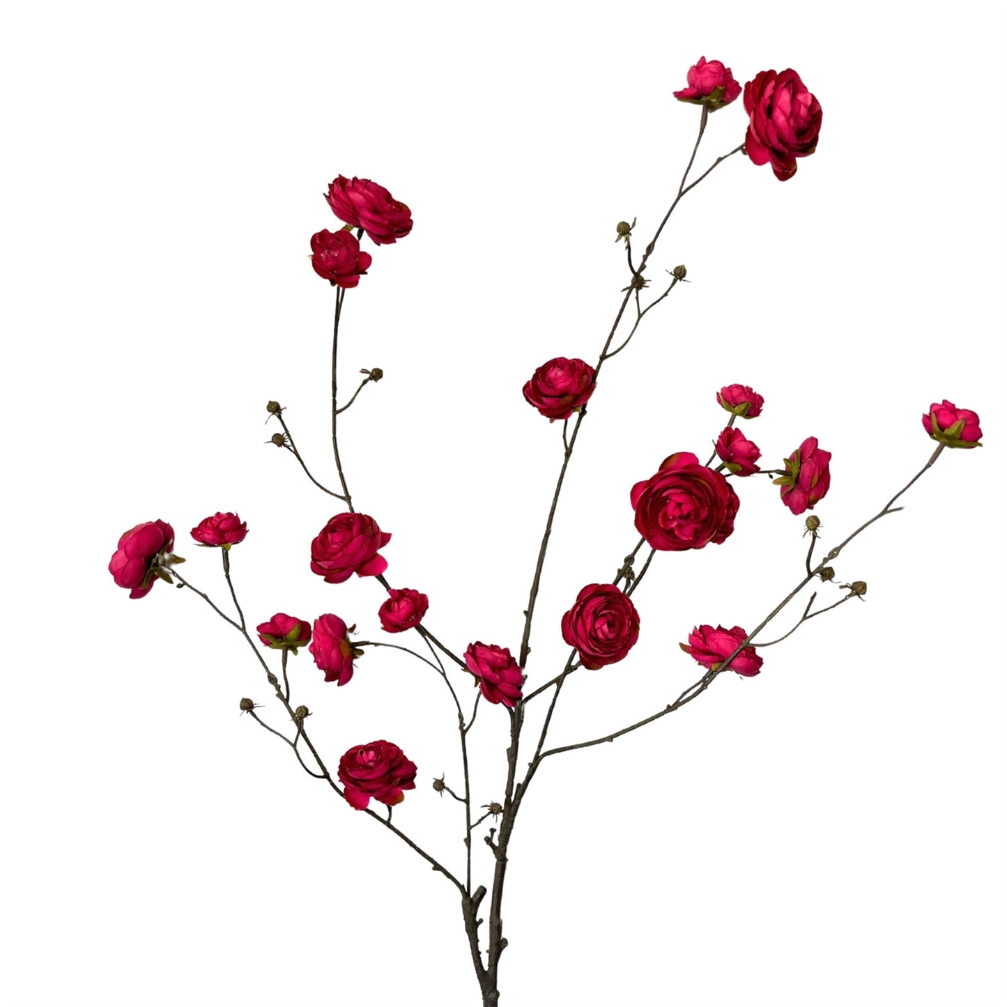Blooming Ranunculus Branch 44" - Dark Raspberry