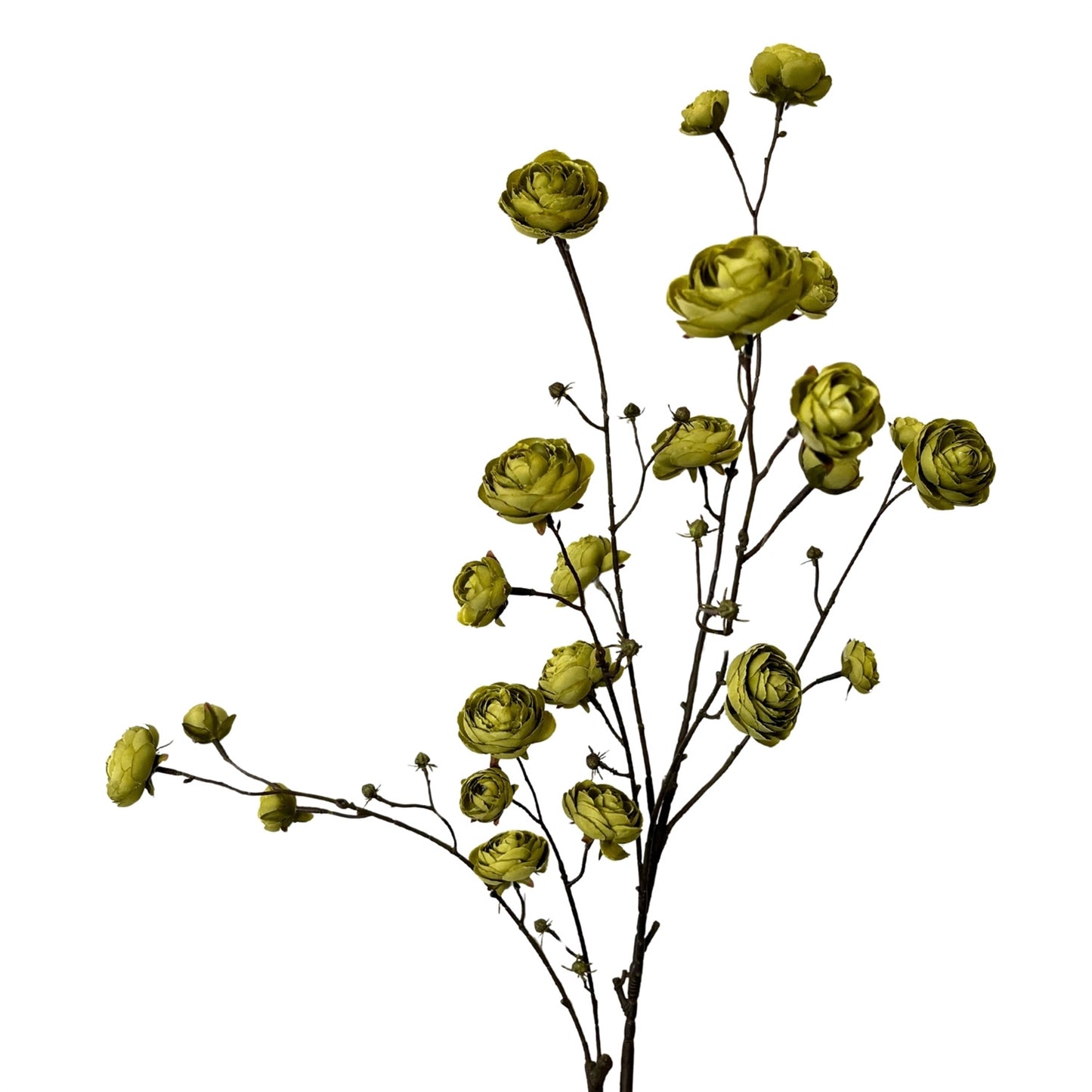Blooming Ranunculus Branch 44" - Olive Green