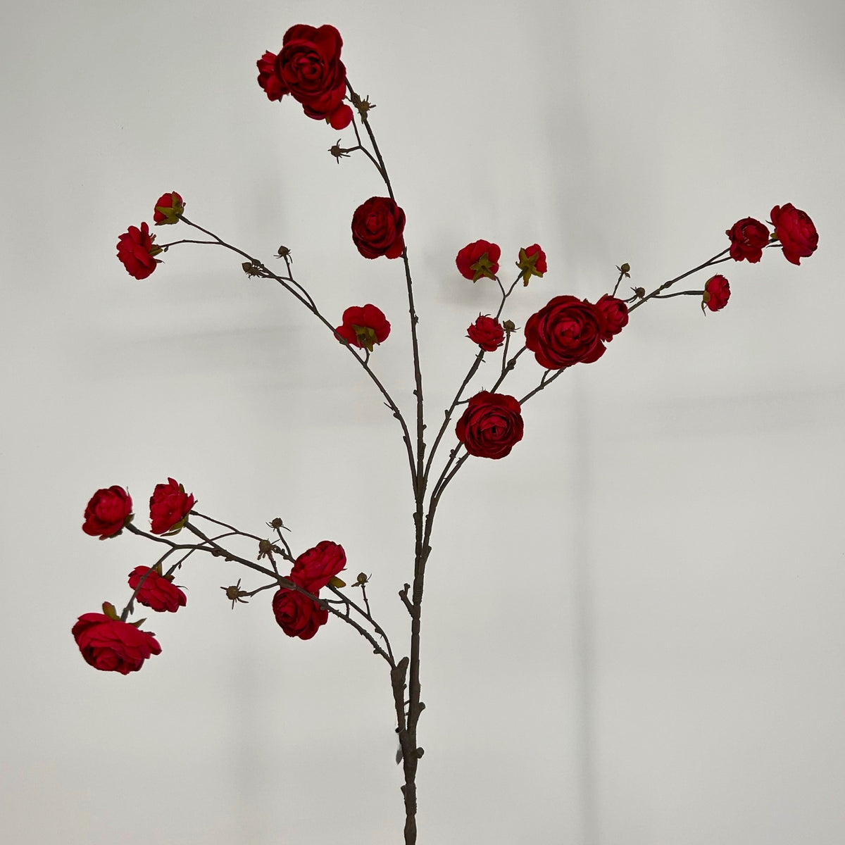 Blooming Ranunculus Branch 44" - Red | GT